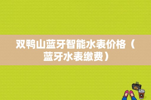 雙鴨山藍(lán)牙智能水表價(jià)格（藍(lán)牙水表繳費(fèi)）-圖1