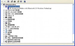 戴爾3301藍(lán)牙消失（戴爾電腦藍(lán)牙開關(guān)不顯示了）