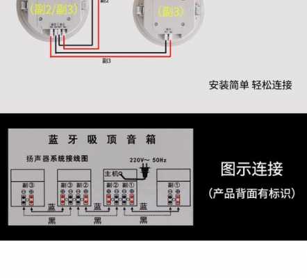 吊頂藍(lán)牙音響（吊頂藍(lán)牙音響怎么布線）-圖3