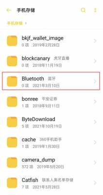 藍(lán)牙查看手機文件夾（手機藍(lán)牙文件在哪里找）-圖2