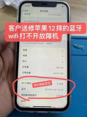 iphone藍(lán)牙和wifi打不開(kāi)（蘋果手機(jī)wifi和藍(lán)牙無(wú)法打開(kāi)）-圖1