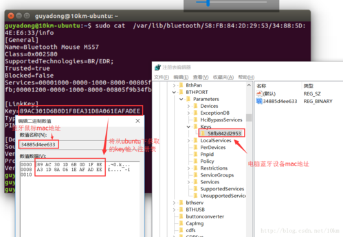 linux連接藍(lán)牙（linux連接藍(lán)牙鼠標(biāo)）-圖1