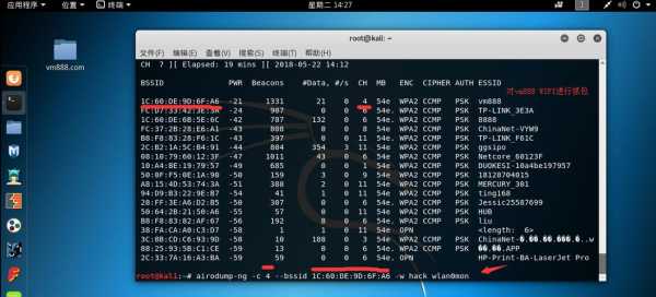 kali怎么連接藍牙設備（kali怎么連接無線網卡）-圖1