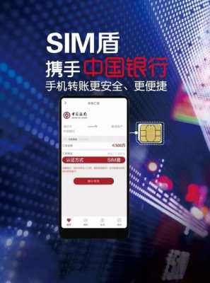 藍牙sim（藍牙sim盾是什么）-圖1